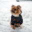 Зимний комбинезон куртка для маленьких собак Terry черный M-3